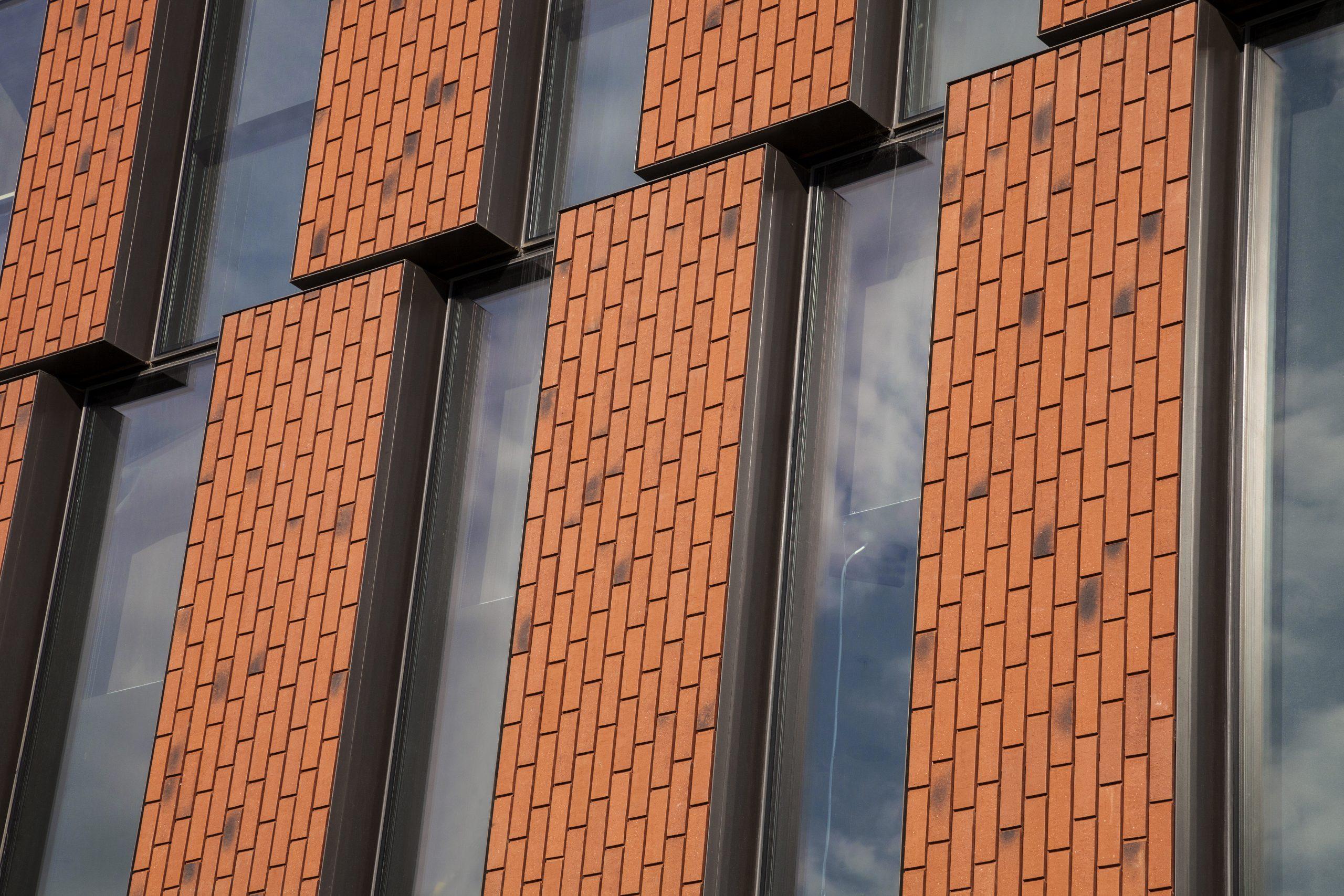 _MG_1637